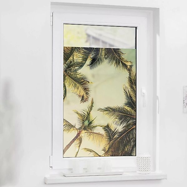 LICHTBLICK ORIGINAL Fensterfolie "Palmen und Sonne", 1 St., blickdicht, str günstig online kaufen