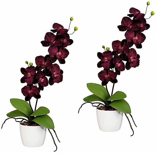Creativ green Kunstpflanze "Orchidee Phalaenopsis", im Keramiktopf günstig online kaufen