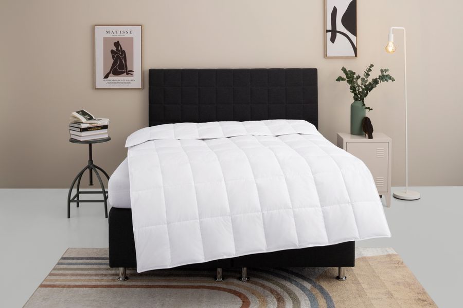 my home Federbettdecke "Ulani, Bettdecke 135x200 cm, 155x220 cm" leicht Fül günstig online kaufen