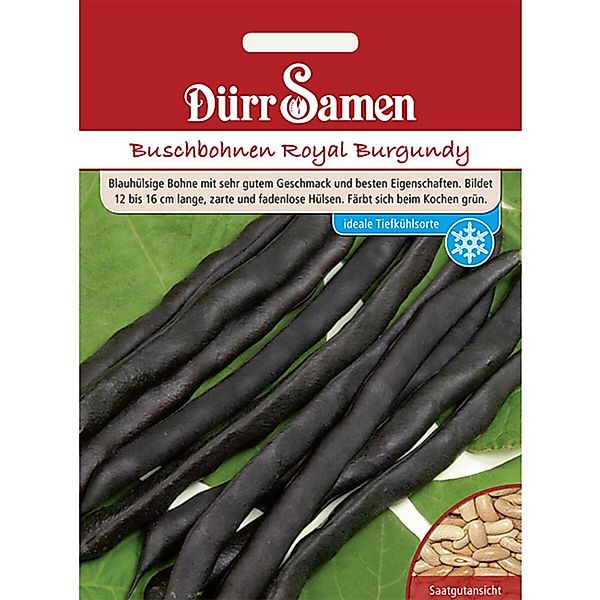 Dürr Samen Buschbohnen Royal Burgundy Saatgut günstig online kaufen