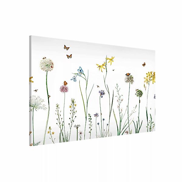 Magnettafel Tanzende Schmetterlinge auf Wildblumen günstig online kaufen