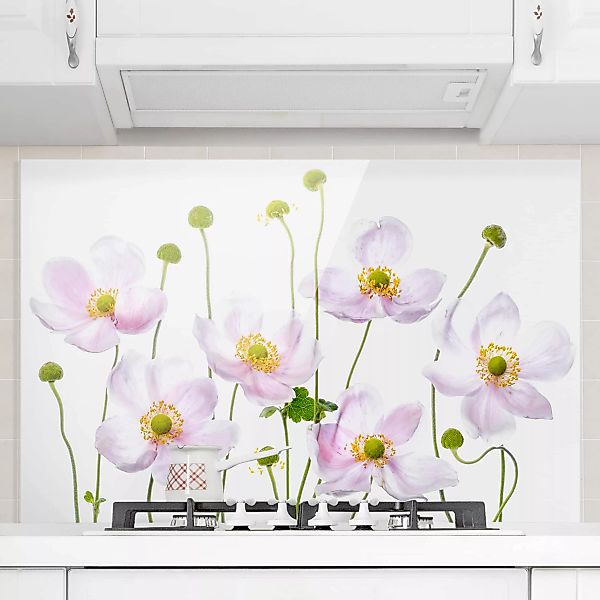 Glas Spritzschutz Blumen - Querformat 3:2 Japanische Anemonen günstig online kaufen