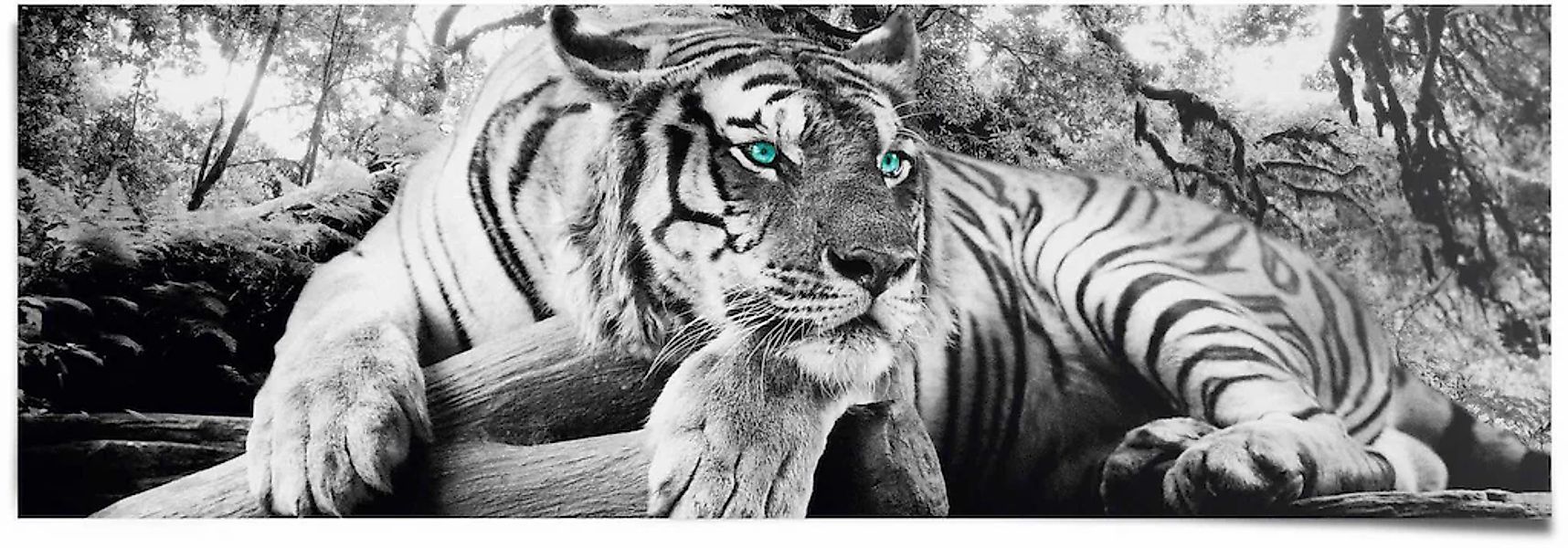 Reinders Poster "Tigerblick" 1 Stk. tlg. günstig online kaufen