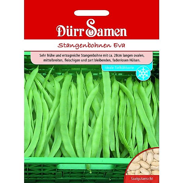 Dürr Samen Stangenbohnen Eva Saatgut günstig online kaufen