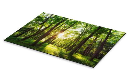 Posterlounge Poster Oliver Henze, Frühling in günstig online kaufen