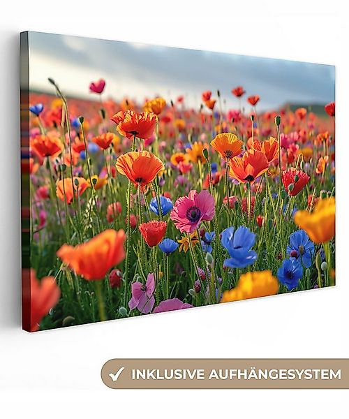 OneMillionCanvasses® Leinwandbild Blumen - Mohnblumen - Farbenfroh - Natur, günstig online kaufen