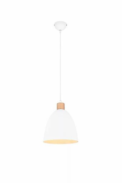 Pendelleuchte JAGGER 1xE27 ohne Leuchtmittel von REALITY Leuchten R30681031 günstig online kaufen
