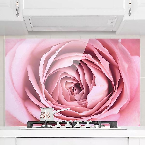 Glas Spritzschutz Blumen - Querformat 3:2 Rosa Rosenblüte günstig online kaufen