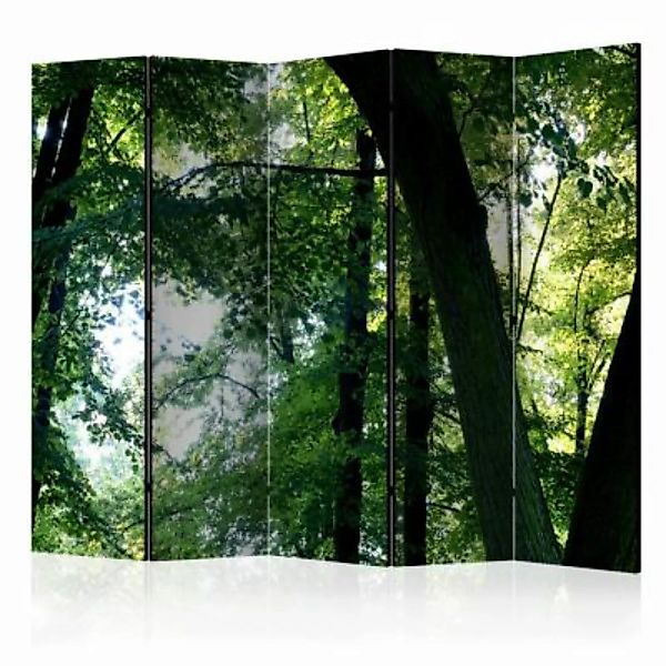 artgeist Paravent Spring in the Park II [Room Dividers] grün-kombi Gr. 225 günstig online kaufen