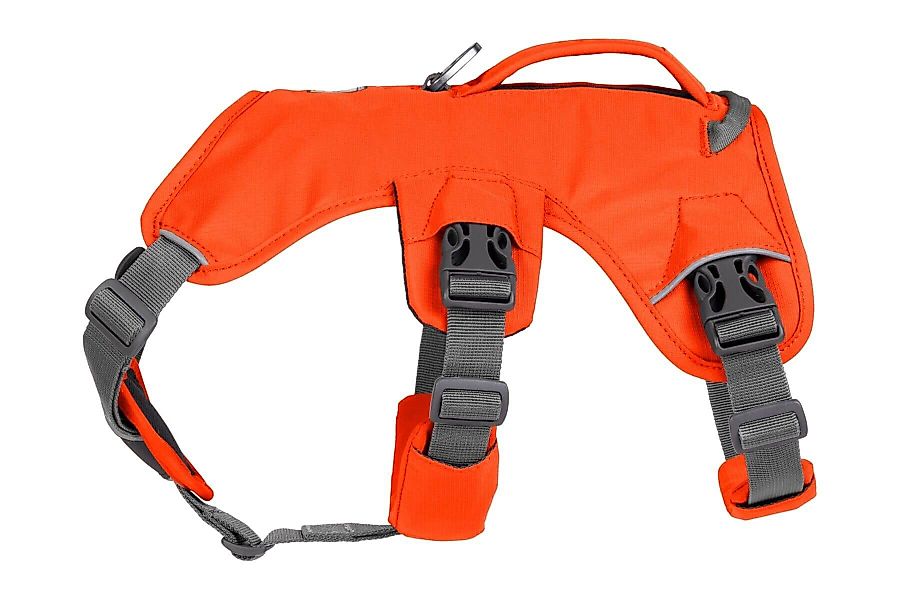 Ruffwear Hunde-Geschirr Web Master Harness günstig online kaufen