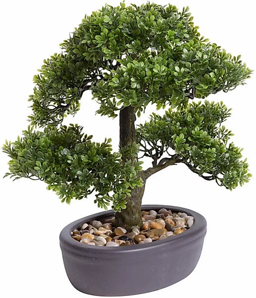 Botanic-Haus Kunstbonsai "Ficus Bonsai" günstig online kaufen