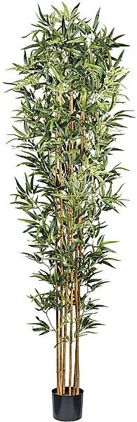 Kunstbaum Bambus Bambus, Creativ green, Höhe 105 cm, mit echten Bambusstäbe günstig online kaufen