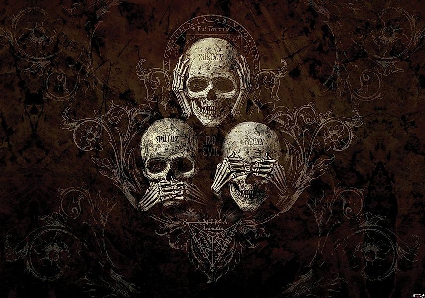 Wallarena Fototapete Totenkopf Schädel Gothic Alchemy Vlies Tapete für Wohn günstig online kaufen