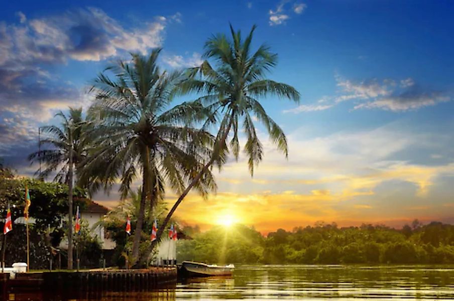 Papermoon Fototapete »Tropischer Palmen-Sonnenaufgang« günstig online kaufen