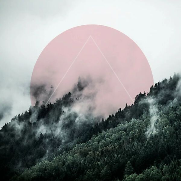 Poster / Leinwandbild - Foggy Woods 2 günstig online kaufen