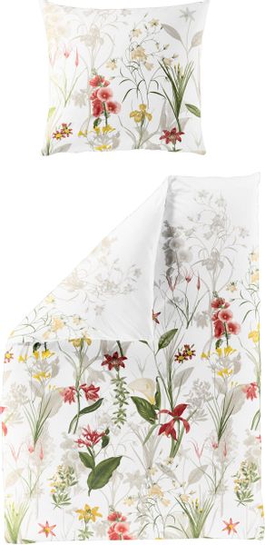 BIERBAUM Bettwäsche "4066" 2 Stk. tlg. Mako-Satin, 100 % Baumwolle, pflegel günstig online kaufen