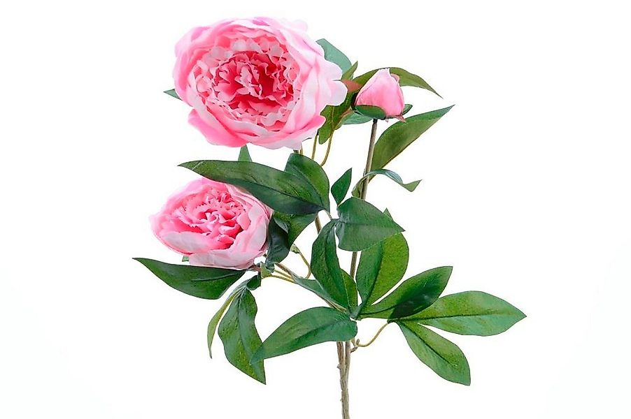 Kunstblume Seiden-Pfingstrose 3blütig, Kaemingk günstig online kaufen