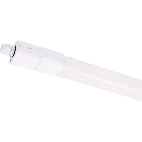 LED's light LED Deckenleuchte 2410254 LED-Feuchtraumleuchte, günstig online kaufen
