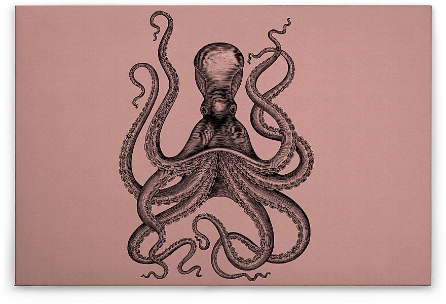 A.S. Création Leinwandbild "jules", Tiere, (1 St.), Keilrahmen Bild Octopus günstig online kaufen