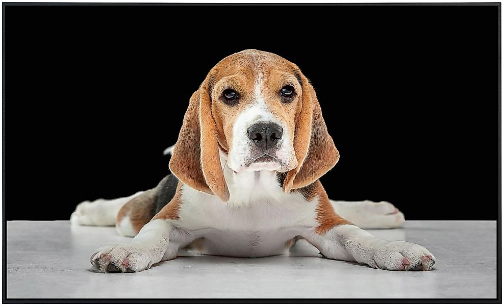 Papermoon Infrarotheizung »Hund«, sehr angenehme Strahlungswärme günstig online kaufen