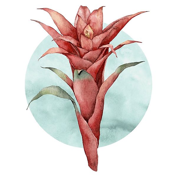 Komar Poster Funky Flower Blume B/L: ca. 50x70 cm günstig online kaufen
