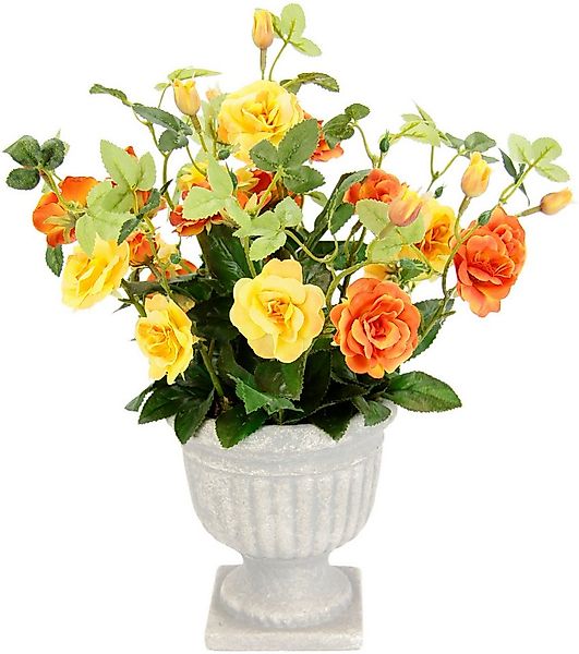 Kunstblume Rosen im Pokal, I.GE.A., Höhe 35 cm günstig online kaufen