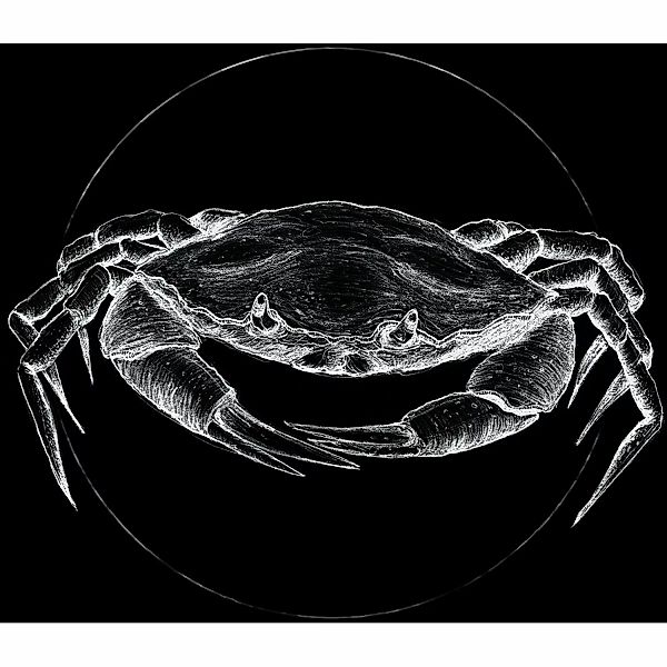 Komar Bild "Crab Black", Tiere, (1 St.), Wandbild zur Dekoration - ohne Rah günstig online kaufen