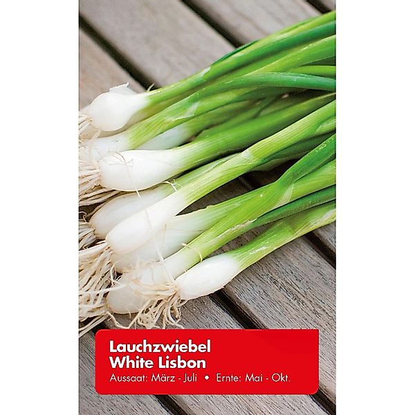 Lauchzwiebel White Lisbon günstig online kaufen