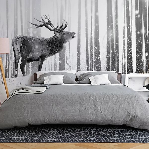 Fototapete - Deer In The Snow (black And White) günstig online kaufen