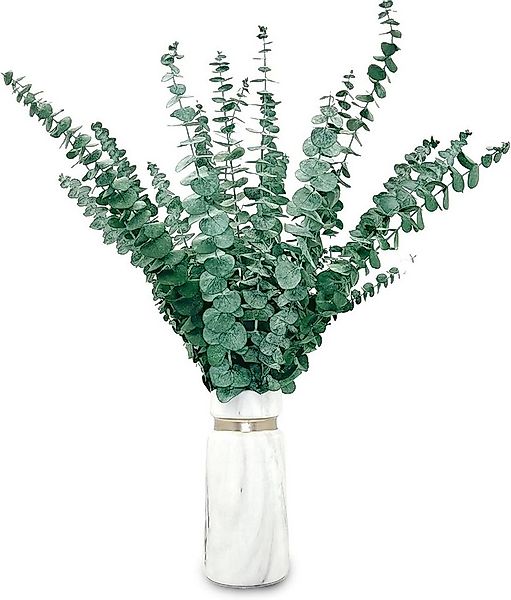 Kunstblumenstrauß Eukalyptus Getrocknet 43cm Natürliche Trockenblumen, Coon günstig online kaufen