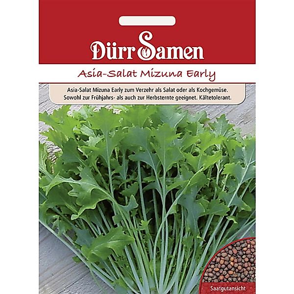 Dürr Samen Asia-Salat Mizuna Early Saatgut günstig online kaufen