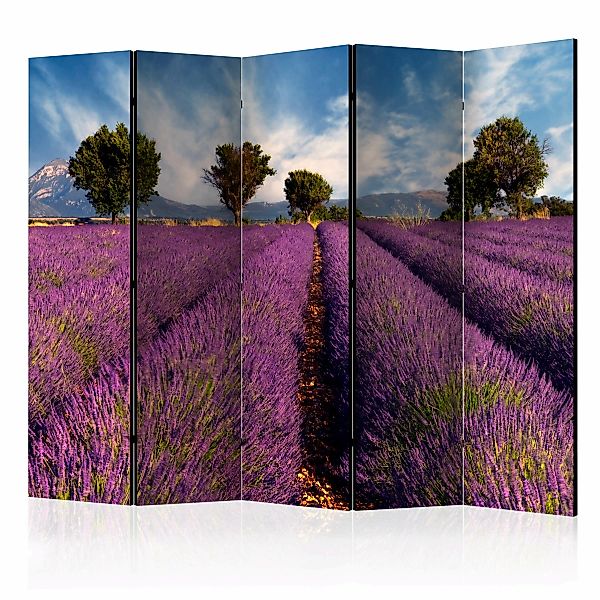 5-teiliges Paravent - Lavender Field In Provence, France Ii [room Dividers] günstig online kaufen