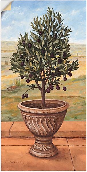 Artland Wandbild »Olivenbaum«, Pflanzen, (1 St.) günstig online kaufen