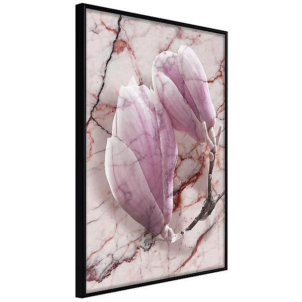 Poster - Magnolia On Marble Background günstig online kaufen