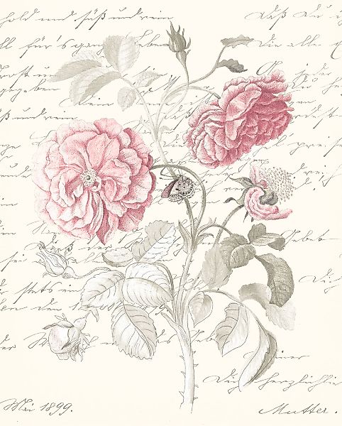 Komar Bild "Poème Rose", Natur, (1 St.), Wandbild zur Dekoration - ohne Rah günstig online kaufen