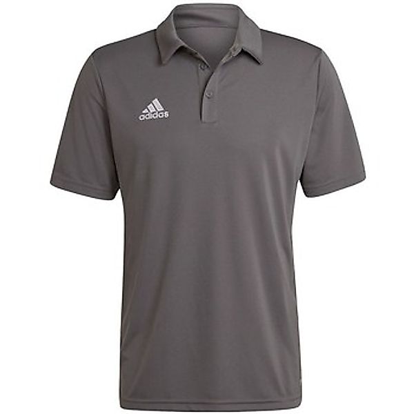 adidas Performance Poloshirt adidas Herren Poloshirt Entrada 22 Polo günstig online kaufen