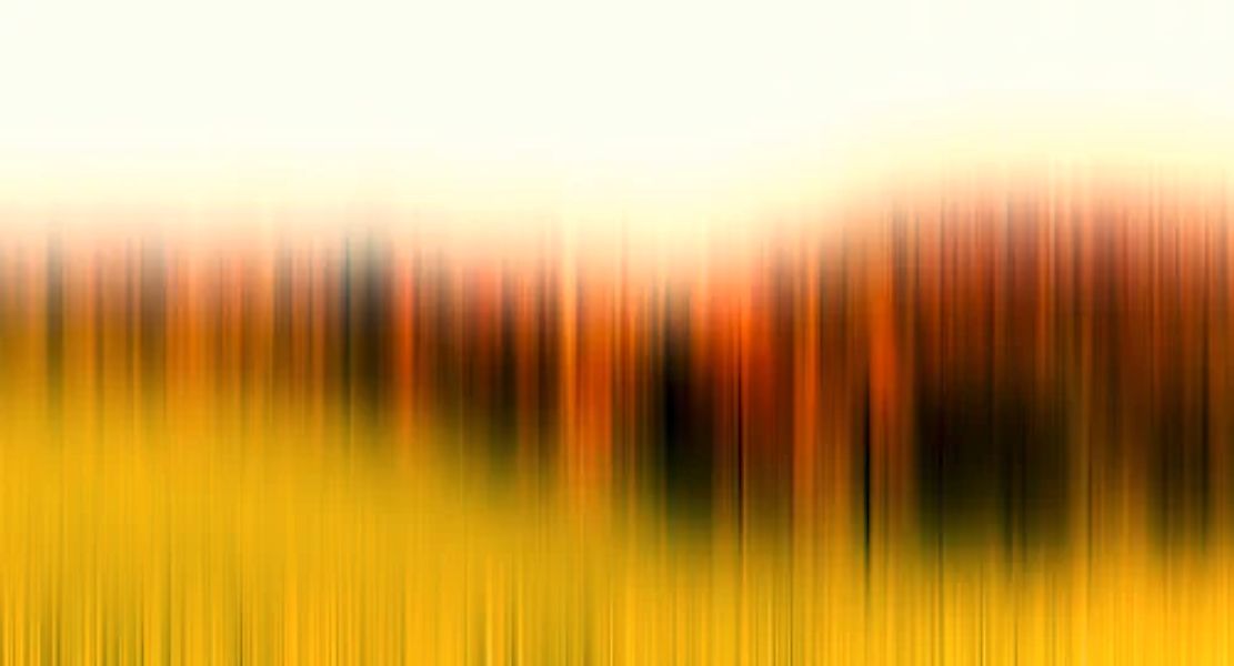Architects Paper Fototapete »Atelier 47 Diffused Tree Row 2« abstrakt glatt günstig online kaufen