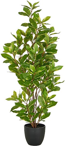 Kunstpflanze Epipremnum aureum, Creativ green, Höhe günstig online kaufen