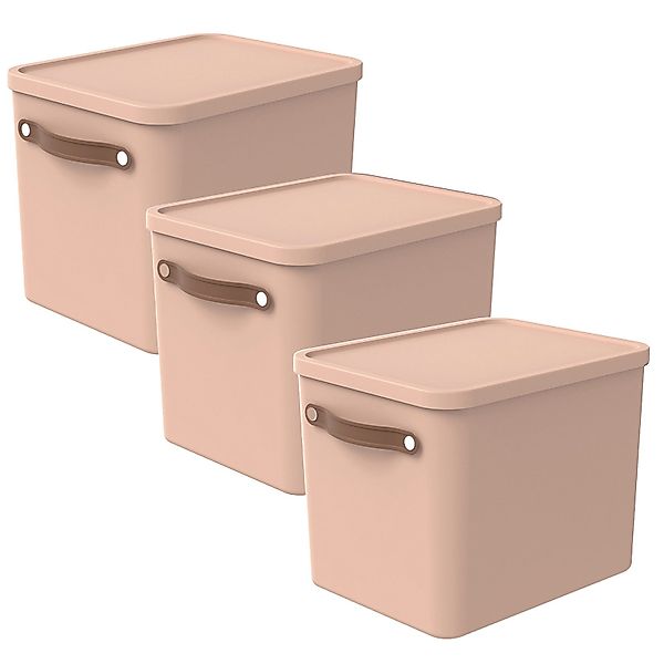 ROTHO Aufbewahrungsbox (3er-Set, 3er-Set) günstig online kaufen