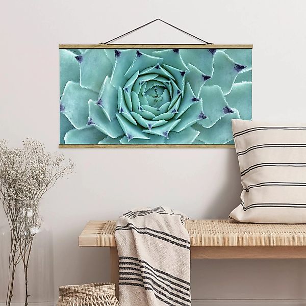 Stoffbild Blumen mit Posterleisten - Querformat Kaktus Agave günstig online kaufen