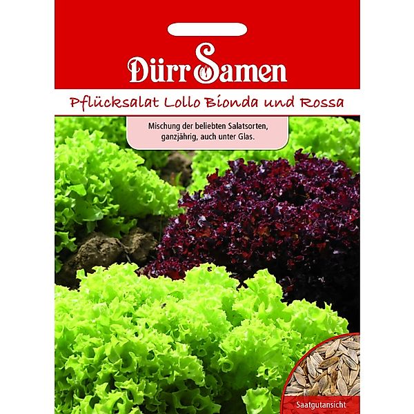 Dürr Samen Pflücksalat Lollo Mischung Bionda + Rossa Saatgut günstig online kaufen