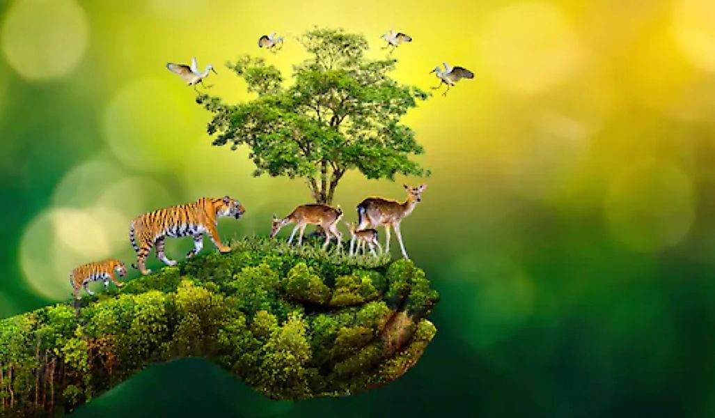 Papermoon Fototapete »hand mit Baum und Tieren« günstig online kaufen