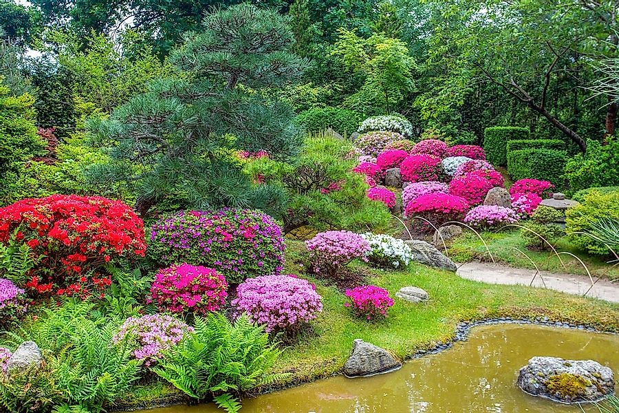 Papermoon Fototapete "GARTEN-BLUMEN BÄUME PFLANZEN STEINE WALD PARK BLÜTEN" günstig online kaufen