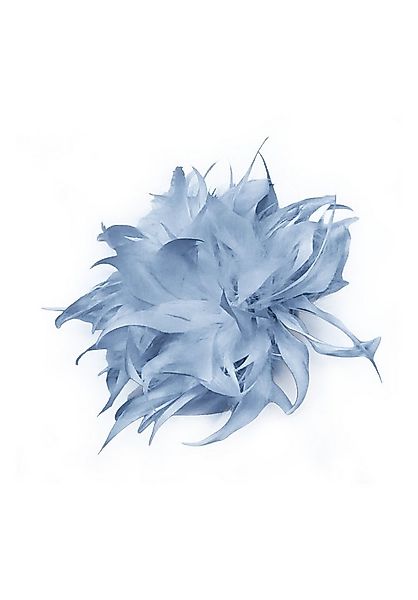 bianca Brosche BROSCHE, mit Federn in Trendfarbe günstig online kaufen