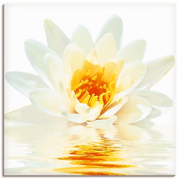 Artland Wandbild »Lotusblume schwimmt im Wasser« 1 Stk. tlg. als Leinwandbi günstig online kaufen