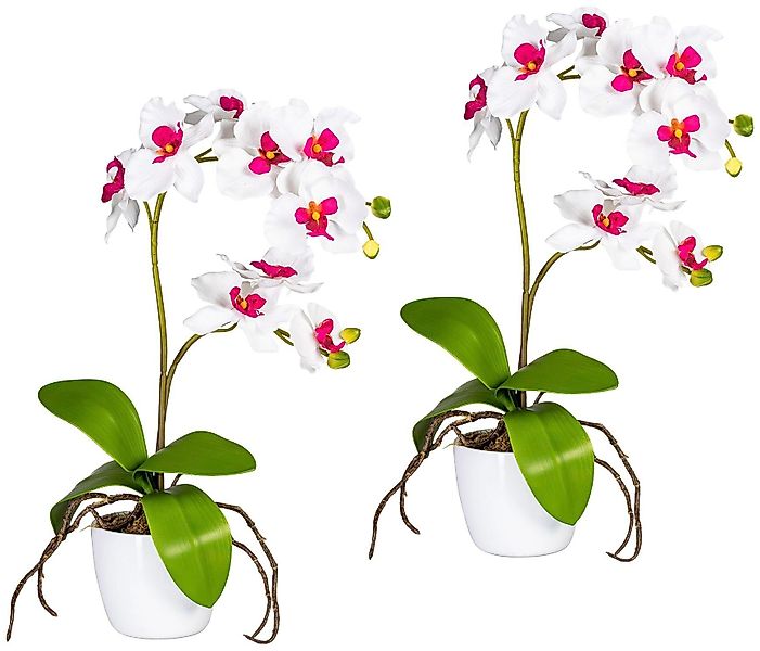 Kunstpflanze Orchidee Phalaenopsis Orchidee, Creativ green, günstig online kaufen