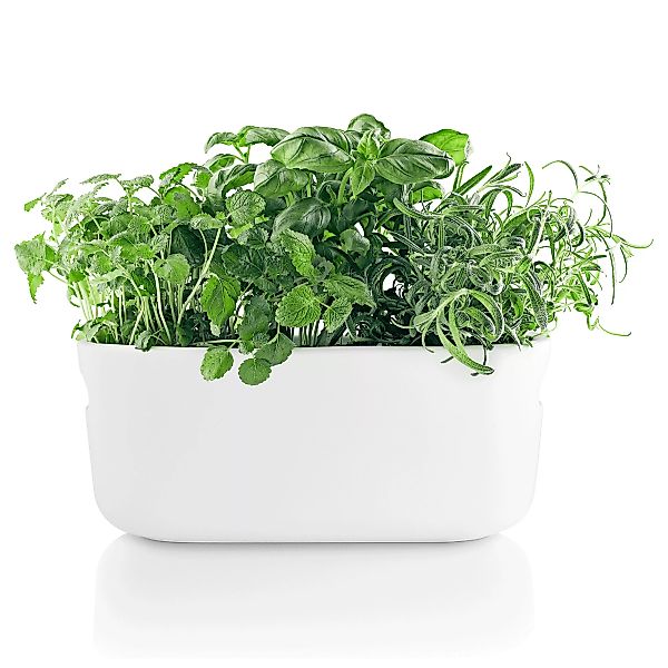 Blumentopf mit Wasserreservoir Herb keramik weiß / Kräuter-Pflanztopf - Ker günstig online kaufen