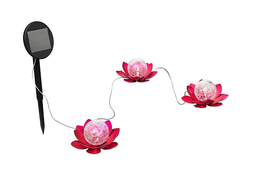 IC Gardenworld LED Solarleuchte Solar Dekoleuchte günstig online kaufen