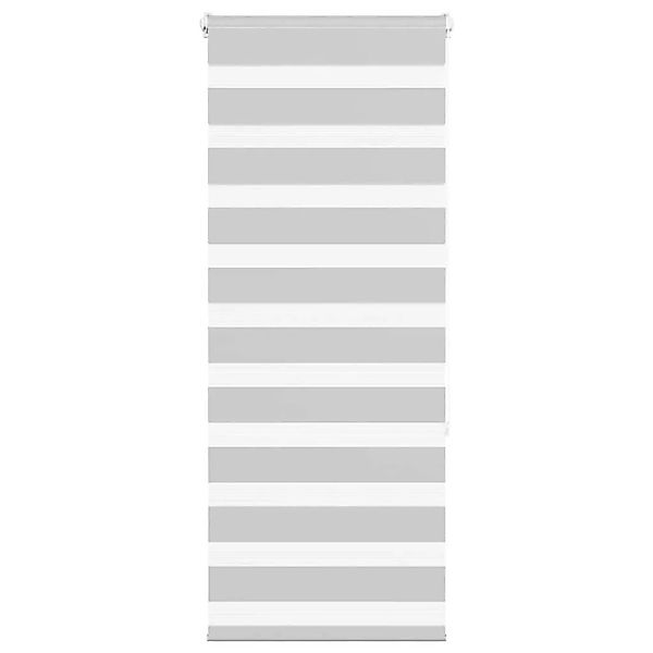 vidaXL Doppelrollo Hellgrau 60x150 cm Stoffbreite 55,9 cm Polyester 4014435 günstig online kaufen