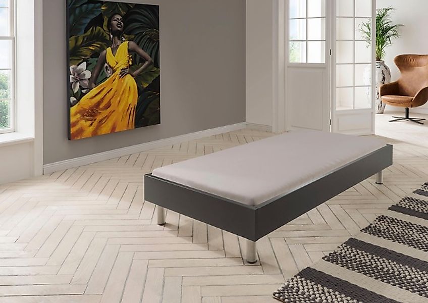 Wimex Bett »Easy, große Auswahl an Größen und Farben, auch in Komforthöhe«, günstig online kaufen